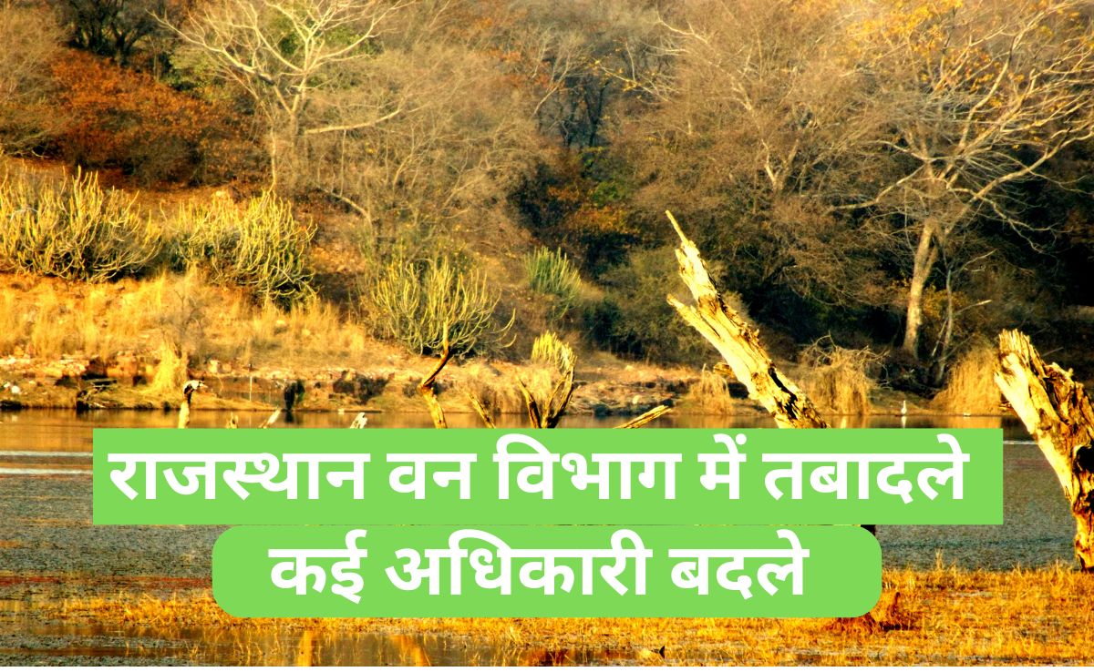 राजस्थान वन विभाग में बड़ा बदलाव, 33 IFS का हुआ तबादला; यहां देखें कौन बना कहां का DFO ? 