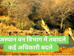Transfer In Rajasthan: राजस्थान वन विभाग में हुए ताबड़तोड़ तबादले, कई वन अधिकारियों को किया इधर-उधर ; देखिये सूची 