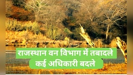 राजस्थान वन विभाग में बड़ा बदलाव, 33 IFS का हुआ तबादला; यहां देखें कौन बना कहां का DFO ?&nbsp;
