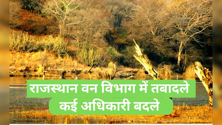 राजस्थान वन विभाग में बड़ा बदलाव, 33 IFS का हुआ तबादला; यहां देखें कौन बना कहां का DFO ?&nbsp;