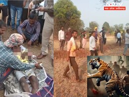 Tiger Attack : MP में बाघ का आतंक, उमरिया और बालाघाट में दो लोगों की मौत, लोगों में खौफ Tiger Attack : MP में बाघ का आतंक, उमरिया और बालाघाट में दो लोगों की मौत, लोगों में खौफ