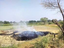 कृषि विभाग की एडवाइजरी, 'पराली जलाने की बजाय बढ़ाएं खेती की उत्पादकता'