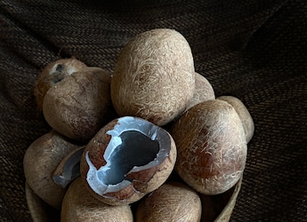 5 Genius Ways to Store Dry Coconut and Keep It Fresh for Months