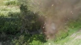 IED Blast: नक्सलियों की कायराना करतूत, बीजापुर में आईडी ब्लास्ट, एक ग्रामीण घायल, माओवादियों ने की एक की हत्या