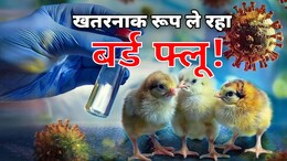 अमेरिका में बर्ड फ्लू के वायरस में म्यूटेशन, 2025 में बड़े खतरे की आहट? यहां समझें