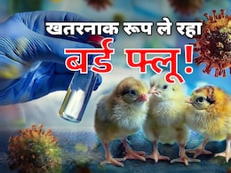 अमेरिका में बर्ड फ्लू के वायरस में म्यूटेशन, 2025 में बड़े खतरे की आहट? यहां समझें अमेरिका में बर्ड फ्लू के वायरस में म्यूटेशन, 2025 में बड़े खतरे की आहट? यहां समझें