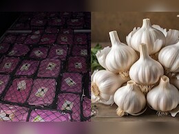 बैन के बाद भी एमपी पहुंचा चाइनीज लहसुन, किसानों के साथ कांग्रेस हुई आक्रामक