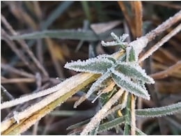 Rajasthan Weather: राजस्थान में जमने लगी ओस की बूंदें, माइनस में पहुंचा सीकर का तापमान; जानें अपने जिले का हाल Rajasthan Weather: राजस्थान में जमने लगी ओस की बूंदें, माइनस में पहुंचा सीकर का तापमान; जानें अपने जिले का हाल