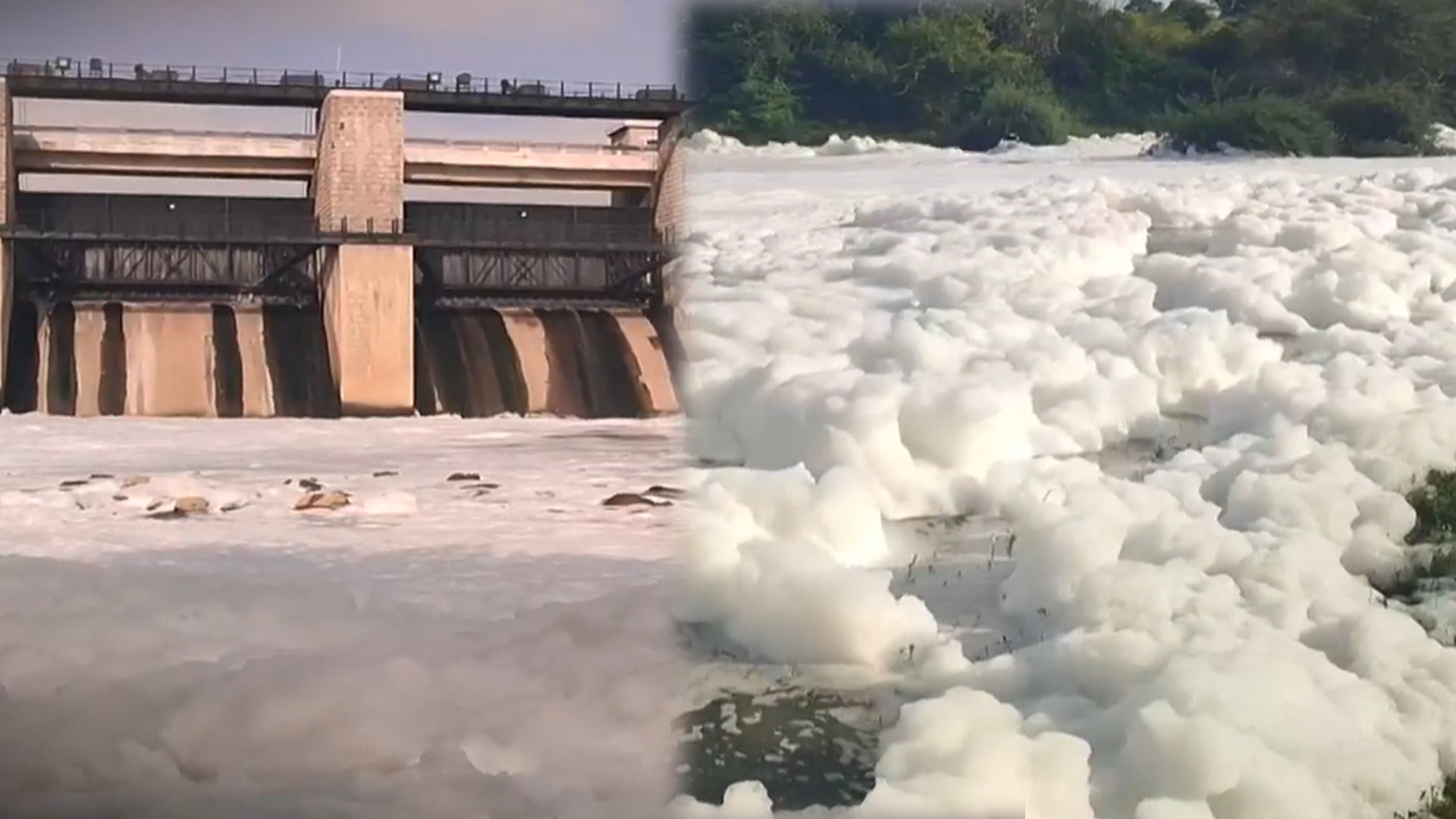 Chemicals Pollute Tamil Nadu's 2nd Longest River