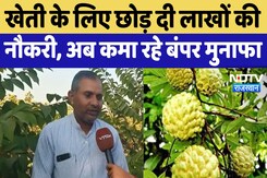 Pali News : खेती के लिए छोड़ दी लाखों की नौकरी, अब कमा रहे बंपर मुनाफा Pali News : खेती के लिए छोड़ दी लाखों की नौकरी, अब कमा रहे बंपर मुनाफा