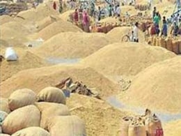 Dhan Kharidi: छत्तीसगढ़ में धान खरीदी का टूटा रिकॉर्ड, 145 लाख मीट्रिक की हुई खरीदी, जानें कब तक किसान बेच सकेंगे अपना धान