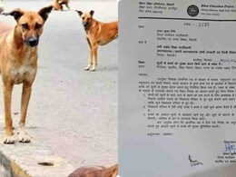 बिहार : सरकारी टीचर अब भगाएंगे कुत्ते, बच्चों को रखेंगे सुरक्षित, जारी हुआ आदेश