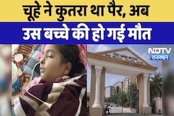 State Cancer Institute Jaipur : चूहे ने कुतरा था पैर, अब उस बच्चे की हो गई मौत State Cancer Institute Jaipur : चूहे ने कुतरा था पैर, अब उस बच्चे की हो गई मौत