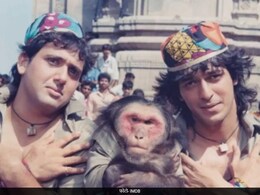 गोविंदा और चंकी पांडे नहीं बॉलीवुड के ये दो सबसे महंगे एक्टर होते आंखें फिल्म के बुन्नू-मुन्नू, सिर्फ इस वजह से नहीं बन पाई बात गोविंदा और चंकी पांडे नहीं बॉलीवुड के ये दो सबसे महंगे एक्टर होते आंखें फिल्म के बुन्नू-मुन्नू, सिर्फ इस वजह से नहीं बन पाई बात