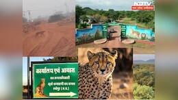 एमपी में अग्नि ने 'भरी' रफ्तार, छोटा पड़ गया कुनो का इलाका, 60 KM दूर यहां पहुंचा