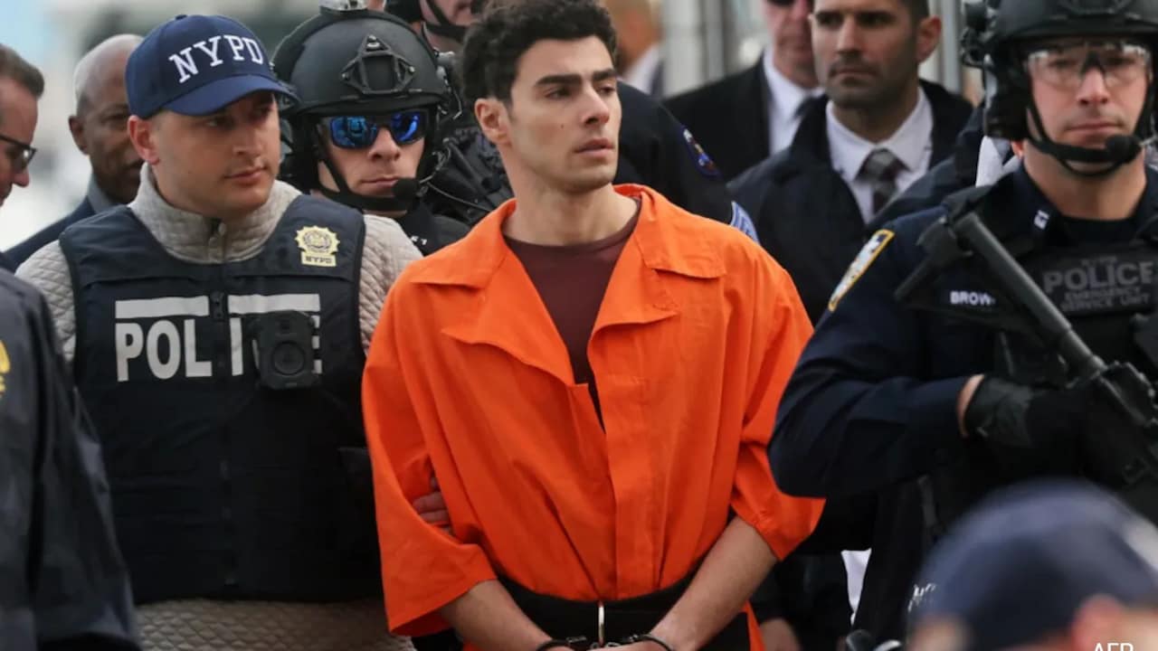 Stalking, Murder, Terror: Luigi Mangione's List Of Charges In US CEO Murder