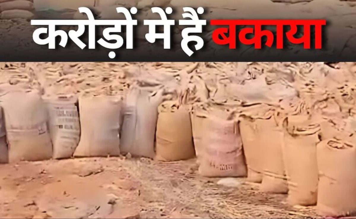 Dhan Kharidi: जबलपुर में धान खरीदी में बड़ी लापरवाही! 227 करोड़ की खरीदी गई धान, 9 करोड़ ही आया किसानों के पास...