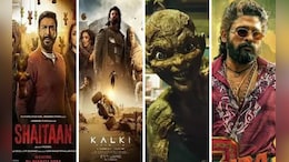 Year Ender 2024 : ना शाहरुख, ना सलमान, ना अमिर, 'या' कलाकारांनी गाजवले 2024