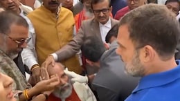 Video: Rahul Gandhi Approaches BJP MP Who Fell During Protest, This Happens