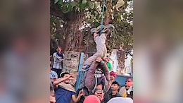 ग्रामीणों ने चोर को पेड़ से उल्टा लटकाकर पीटा, पुलिस ने रिकॉर्ड खंगाला तो उड़ गए होश