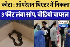 Kota News : Operation Theater में निकला 3 Feet लंबा सांप, Video Viral | Latest News Kota News : Operation Theater में निकला 3 Feet लंबा सांप, Video Viral | Latest News