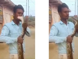 सांप के साथ रोमांस करना पड़ा महंगा, Kiss लेने के चक्कर में पड़ गए लेने के देने सांप के साथ रोमांस करना पड़ा महंगा, Kiss लेने के चक्कर में पड़ गए लेने के देने