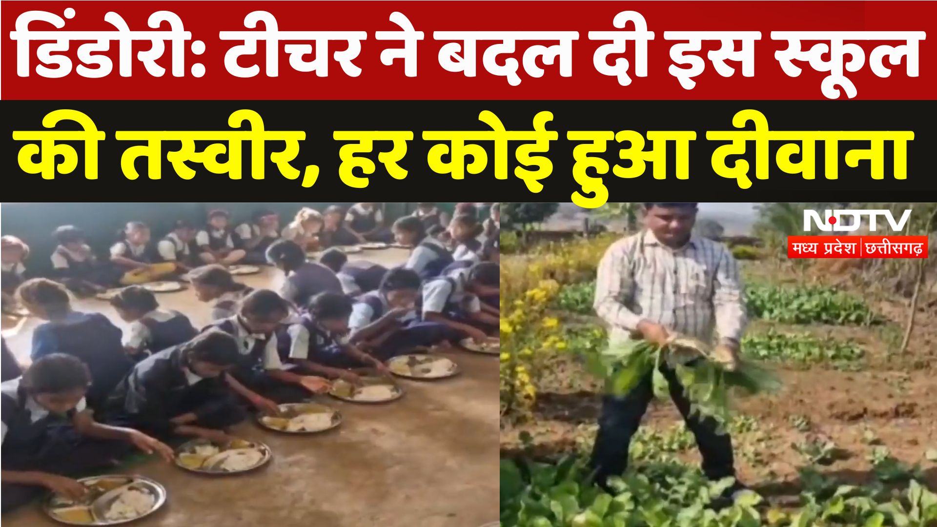 Dindori News: टीचर ने बदल दी इस स्कूल की तस्वीर, हर कोई कर रहा तारीफ
