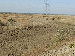 MP में करोड़ों का घोटाला, 14 लाख के एक दो नहीं बल्कि 146 अमृत सरोवर सूखे