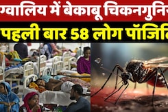 Chikungunya Outbreak In Bhopal: ग्वालिय में बेकाबू हुआ चिकनगुनिया , पहली बार 58 लोग Positive Chikungunya Outbreak In Bhopal: ग्वालिय में बेकाबू हुआ चिकनगुनिया , पहली बार 58 लोग Positive