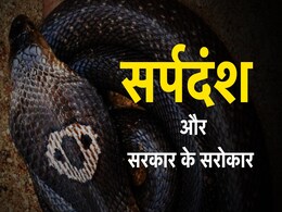 सांप काटने को अधिसूचित रोग क्यों बनाना चाहती है सरकार, भारत में कितने लोगों की जान लेते हैं सांप सांप काटने को अधिसूचित रोग क्यों बनाना चाहती है सरकार, भारत में कितने लोगों की जान लेते हैं सांप