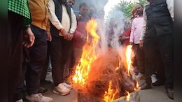 धार में क्यों जलाई गई चाइनीस मांझे की होली? सामाजिक संगठनों ने लोगों से की ये अपील