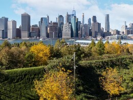 Possible Human Pelvic Bone Found Near NY Waterfront Park, 5th Incident In Months