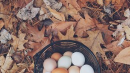 How To Tell If Eggs Have Gone Bad? Try This Phone Flashlight Trick, Suggests Fitness Influencer