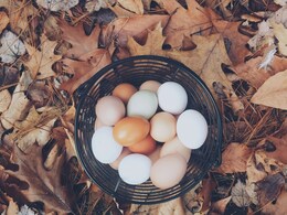 How To Tell If Eggs Have Gone Bad? Try This Phone Flashlight Trick, Suggests Fitness Influencer How To Tell If Eggs Have Gone Bad? Try This Phone Flashlight Trick, Suggests Fitness Influencer