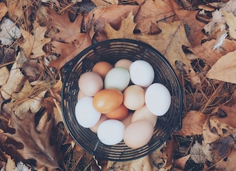 How To Tell If Eggs Have Gone Bad? Try This Phone Flashlight Trick, Suggests Fitness Influencer How To Tell If Eggs Have Gone Bad? Try This Phone Flashlight Trick, Suggests Fitness Influencer