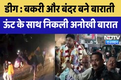 Deeg News : बकरी और बंदर बने बाराती, ऊंट के साथ निकली अनोखी बारात | Viral Video | Rajasthan Deeg News : बकरी और बंदर बने बाराती, ऊंट के साथ निकली अनोखी बारात | Viral Video | Rajasthan