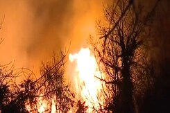 Crew Battle Brushfire In Baltimore | Tsunami Warning Cancelled For U.S. West Coast| The World Report Crew Battle Brushfire In Baltimore | Tsunami Warning Cancelled For U.S. West Coast| The World Report