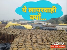 सतना में बारिश से भीगा हजारों क्विंटल धान, चेतावनी के बाद क्यों नहीं किए गए इंतजाम ?