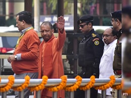 "Even Nehru Campaigned Against Ambedkar": Yogi Adityanath's Swipe At Congress