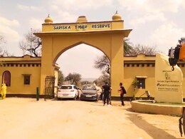 Sariska: सरिस्का क्षेत्र में बसे ग्रामीणों को विस्थापित करने की तैयारी, आबादी के लिए 700 हैक्टेयर जमीन तय!