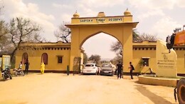 Sariska: सरिस्का टाइगर रिजर्व के पास अवैध खनन की निगरानी करेगा नोडल अधिकारी, सुप्रीम कोर्ट ने दी अनुमति
