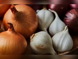 Benefits of Eating Garlic: सर्दियों में खाली पेट लहसुन खाना वरदान, पर जान लें तरीके नहीं तो हो सकती दिक्कत Benefits of Eating Garlic: सर्दियों में खाली पेट लहसुन खाना वरदान, पर जान लें तरीके नहीं तो हो सकती दिक्कत