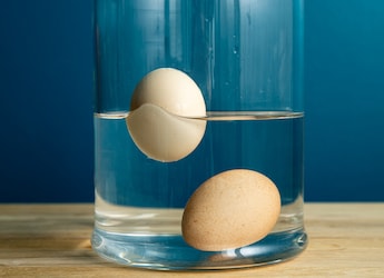 Can The Egg Floating Test Determine Its Freshness? Here's What It Really Means Can The Egg Floating Test Determine Its Freshness? Here's What It Really Means