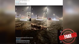Fact Check: Visuals Of Saudi Arabia's Flooded Roads Shared As Being From Tamil Nadu
