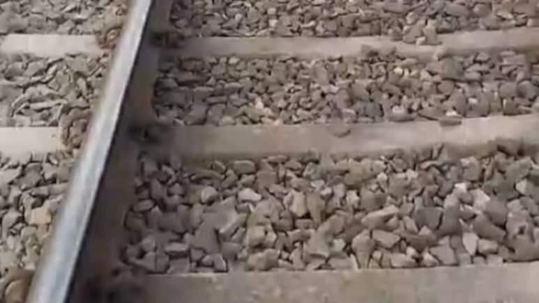कल समझा कर भगाया ! आज उसी जगह पर आकर ले ली अपनी जान, सब हैरान
