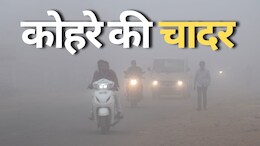 MP Weather: साल के अंतिम दिन मौसम ने बदला रंग, MP के कई जिलों में नहीं नजर आया साल का आखिरी Sunrise