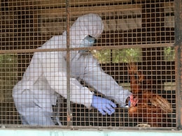US Reports World's First Human Case Of H5N5 Bird Flu. All About The Virus
