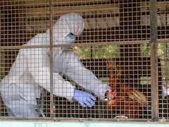 41 Cases Of Bird Flu In 10 States In 2025: Centre
