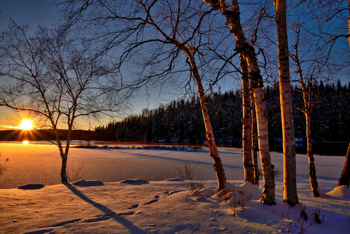 Understanding Winter Solstice: All About Shortest Day Of The Year
