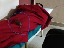 जयपुर स्टेट कैंसर इंस्टीट्यूट की बदहाली, जहां चूहे ने कुतरा बच्चे का पैर; वहीं मरीज के कंबल पर दिखा चूहा: Ground Report जयपुर स्टेट कैंसर इंस्टीट्यूट की बदहाली, जहां चूहे ने कुतरा बच्चे का पैर; वहीं मरीज के कंबल पर दिखा चूहा: Ground Report